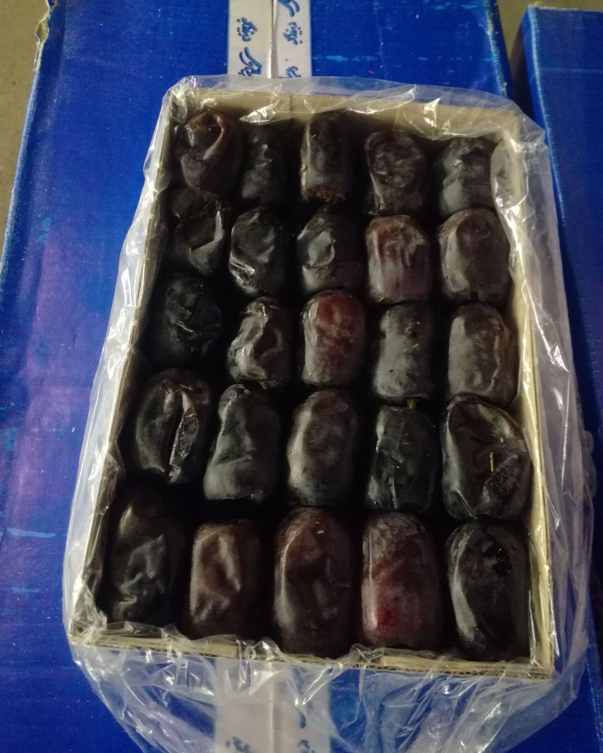 A tray of packed Mazafati dates in an export carton